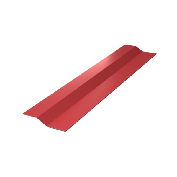_RAL 3020 (25)