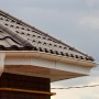 IMG_9973_1